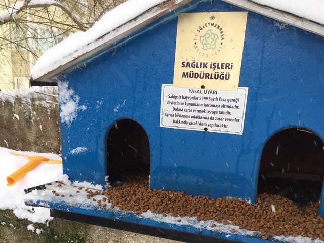 Süleymanpaşa Belediyesi sokak hayvanlarını unutmadı