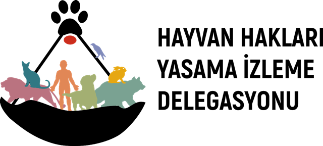 400’e yakın STK ve Ünlüler Hayvan Hakları İçin “Onların Sesi Olun” dedi