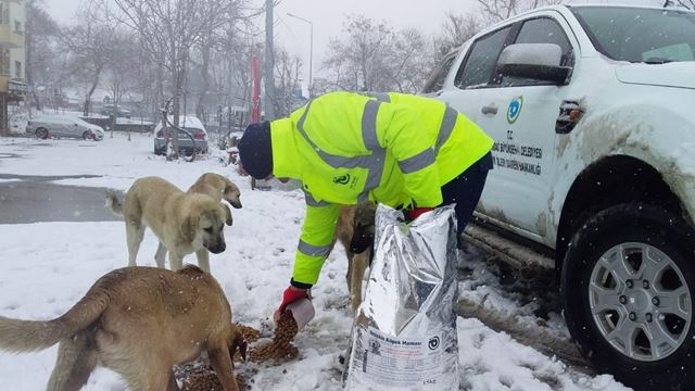 Tekirdağ Büyükşehir Belediyesi Sokak Hayvanlarını Unutmadı