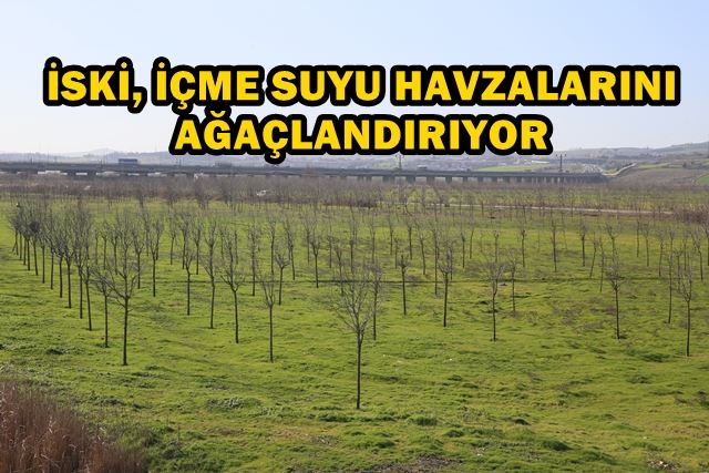 İSKİ, İÇME SUYU HAVZALARINI AĞAÇLANDIRIYOR