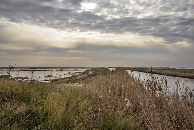 UZMANLARDAN UYARI: SULAK ALANLARIMIZ KURUYOR